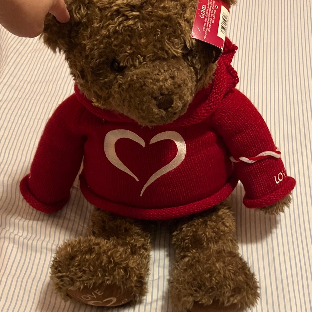 Gund Millenial Bear with Red Sweater